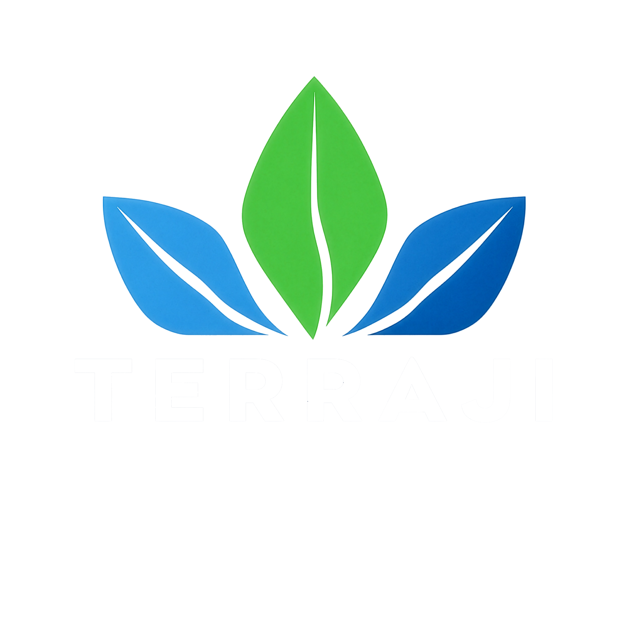 合同会社テラジ